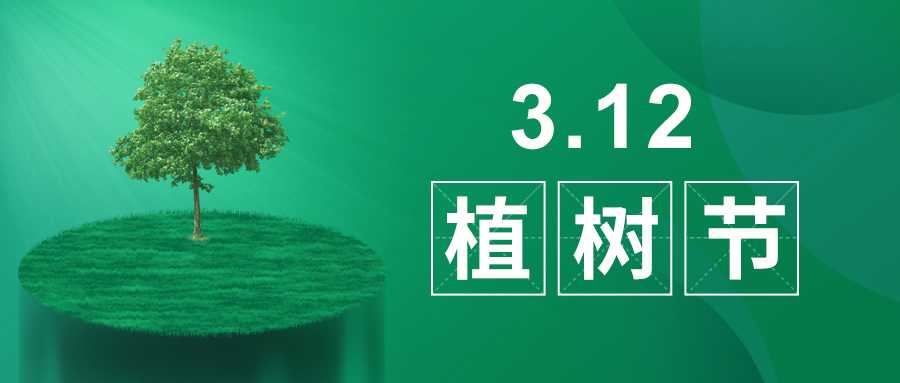 3.12植樹節(jié)|除了植樹，我們還能做什么？